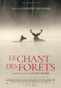 le chant des forets