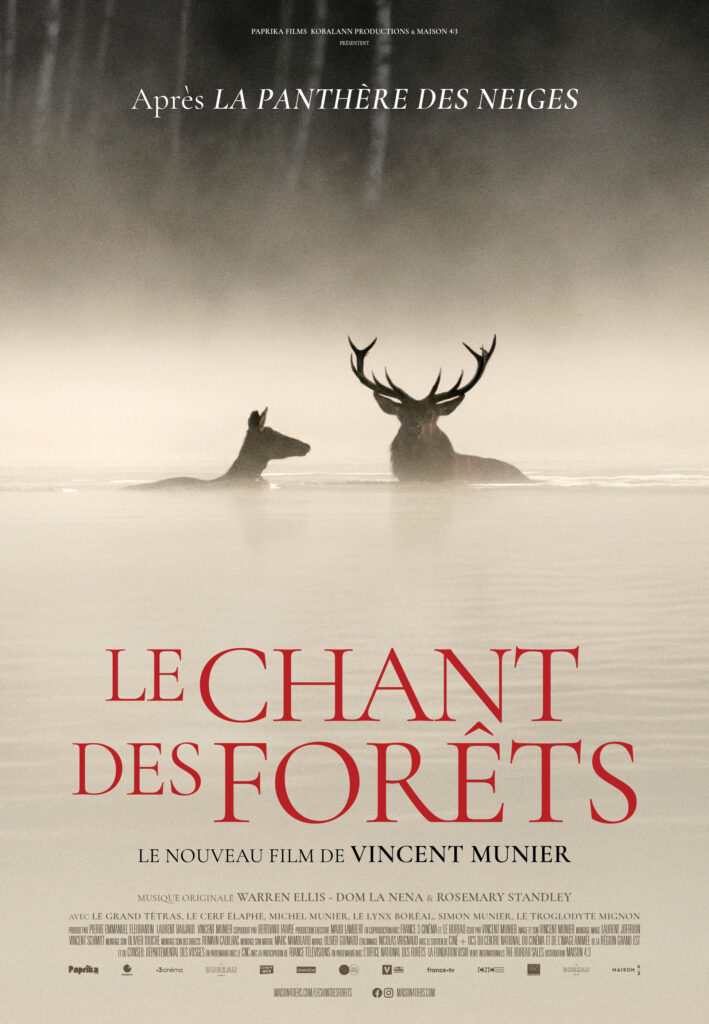 le chant des forets