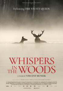 whispers in the woods