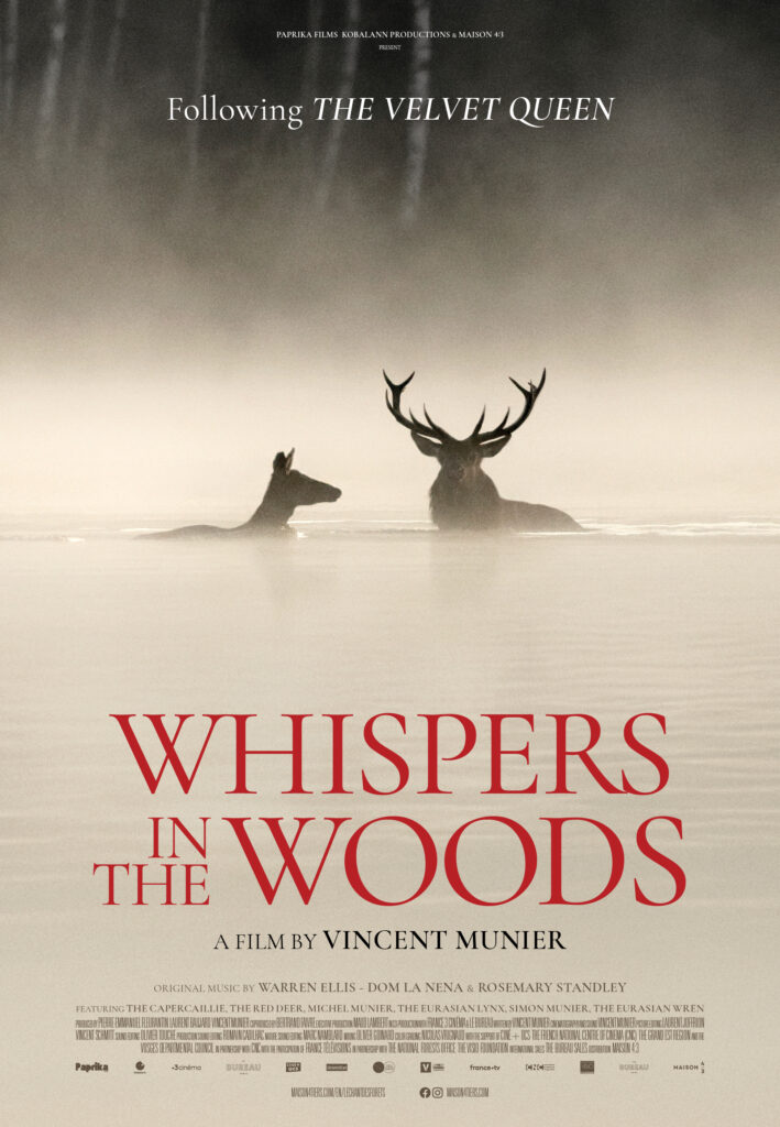 whispers in the woods