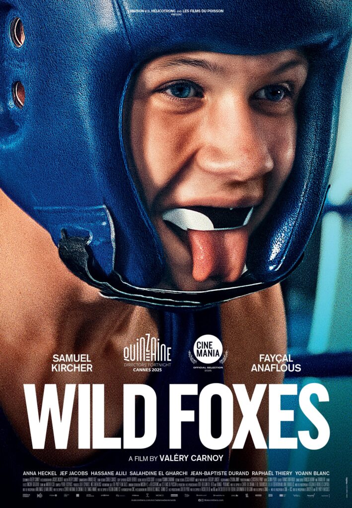 wild foxes